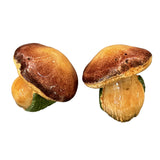 SEL & POIVRE CHAMPIGNONS en céramique