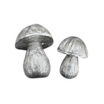 SEL & POIVRE CHAMPIGNONS