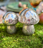 SEL & POIVRE CHAMPIGNONS